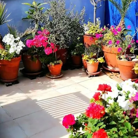 Apartman Cosy Penthouse In Pretty Town Of