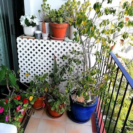Apartman Cosy Penthouse In Pretty Town Of *